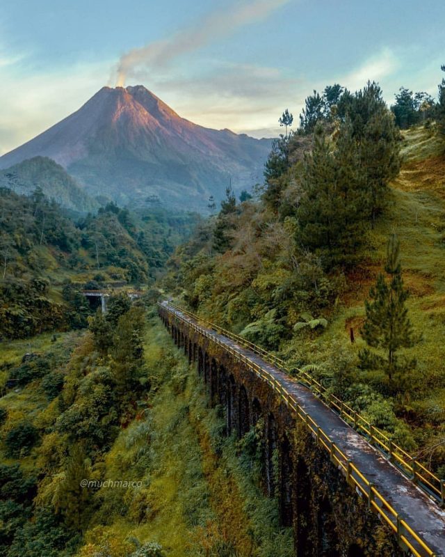 plunyon kalikuning