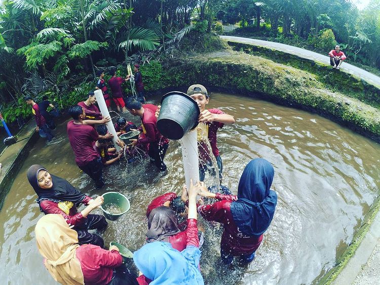 outbound pulesari