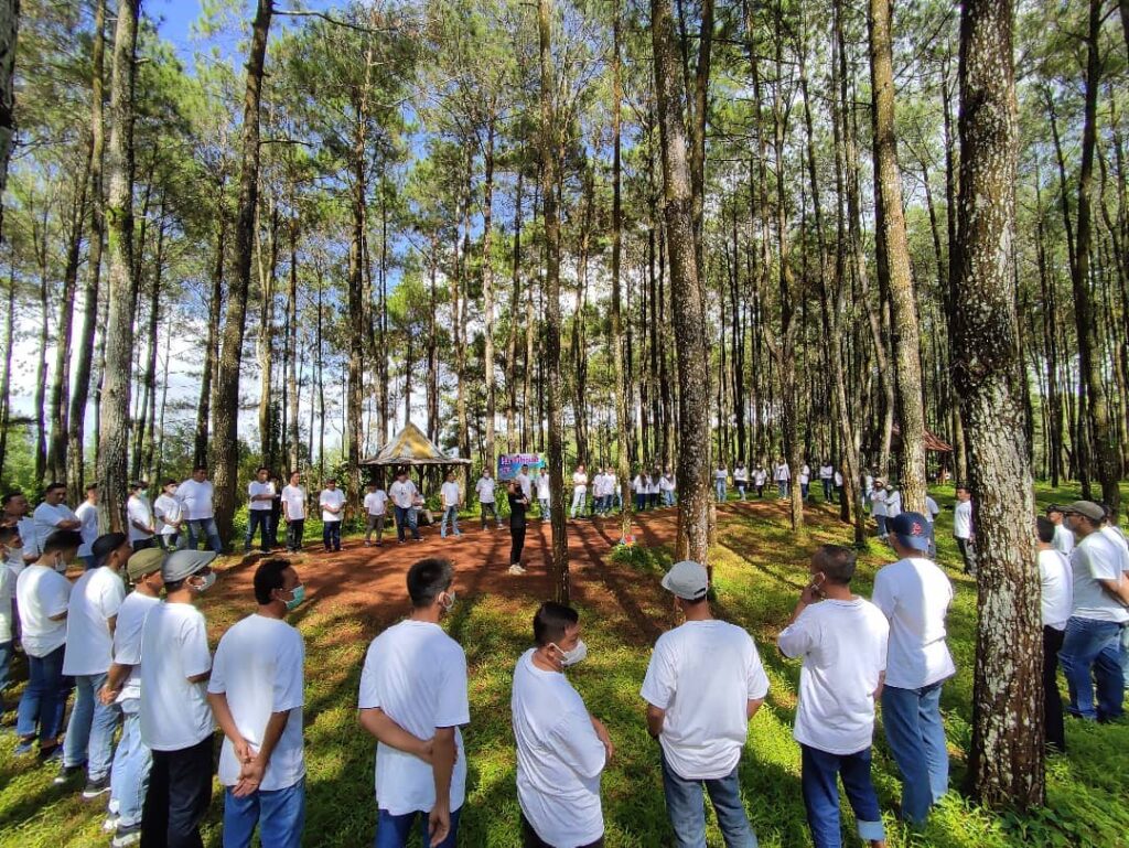 outing hutan pinus mangunan