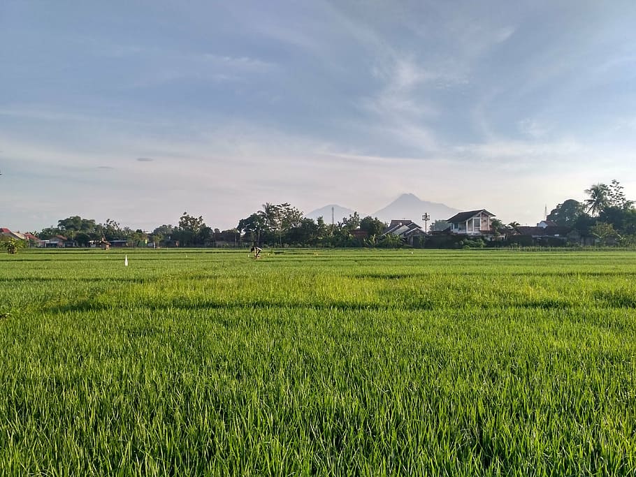 Wisata Outbound Yogyakarta